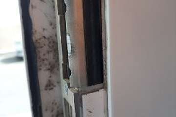 Vecinos de El Ejido claman ayuda ante una plaga de mosquitos (Foto TA)